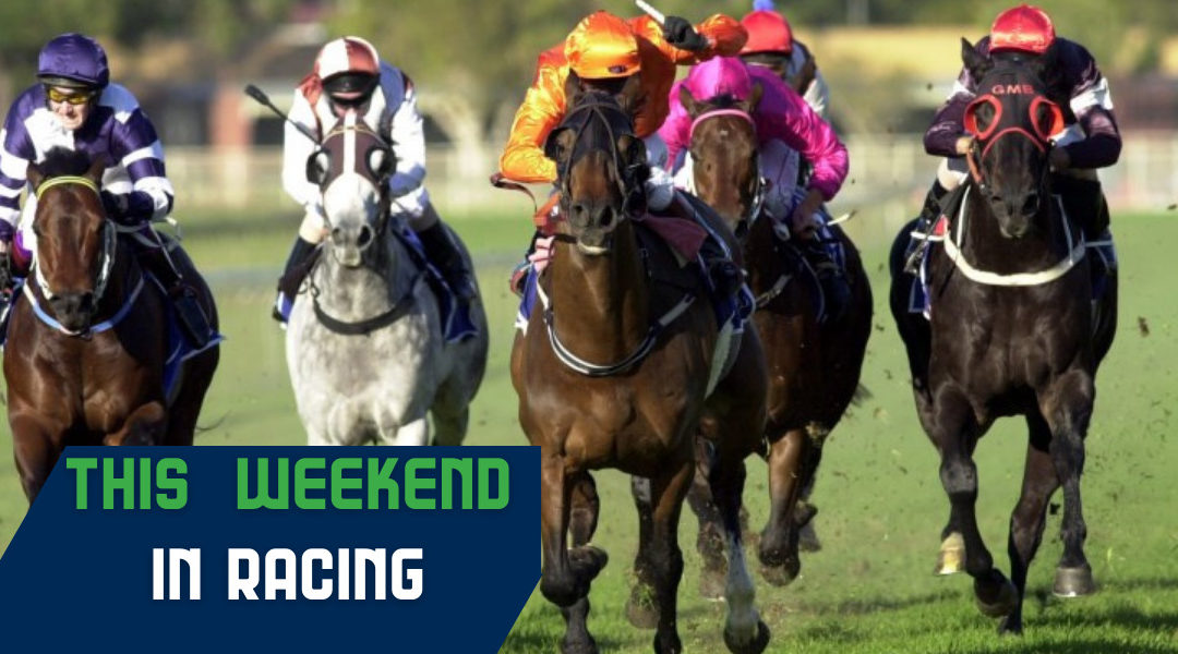 This Weekend In Racing: The Winter Carnival Continues - The Racing League