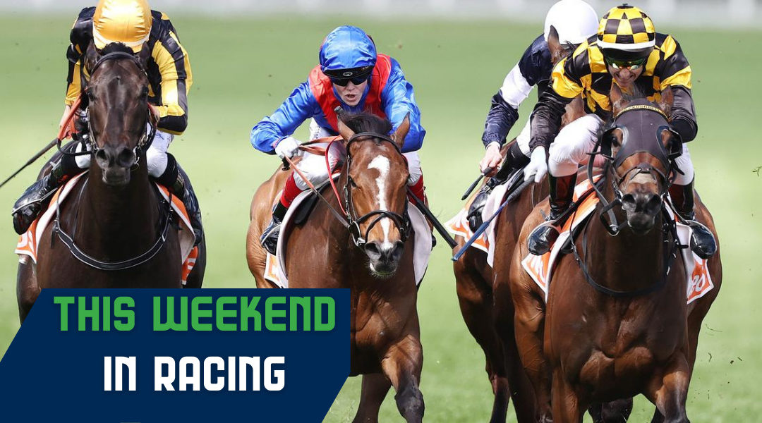 This Weekend in Racing: Cox Plate Weekend - The Racing League