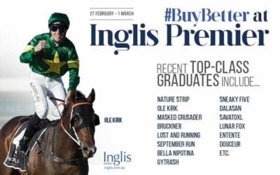 The best to come out of the Inglis Premier Sales