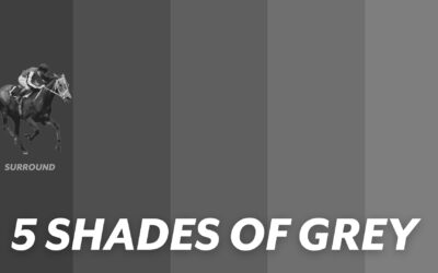 5 SHADES OF GREY RACEHORSES – SURROUND