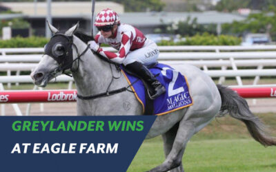 GREYLANDER WINS AT EAGLE FARM