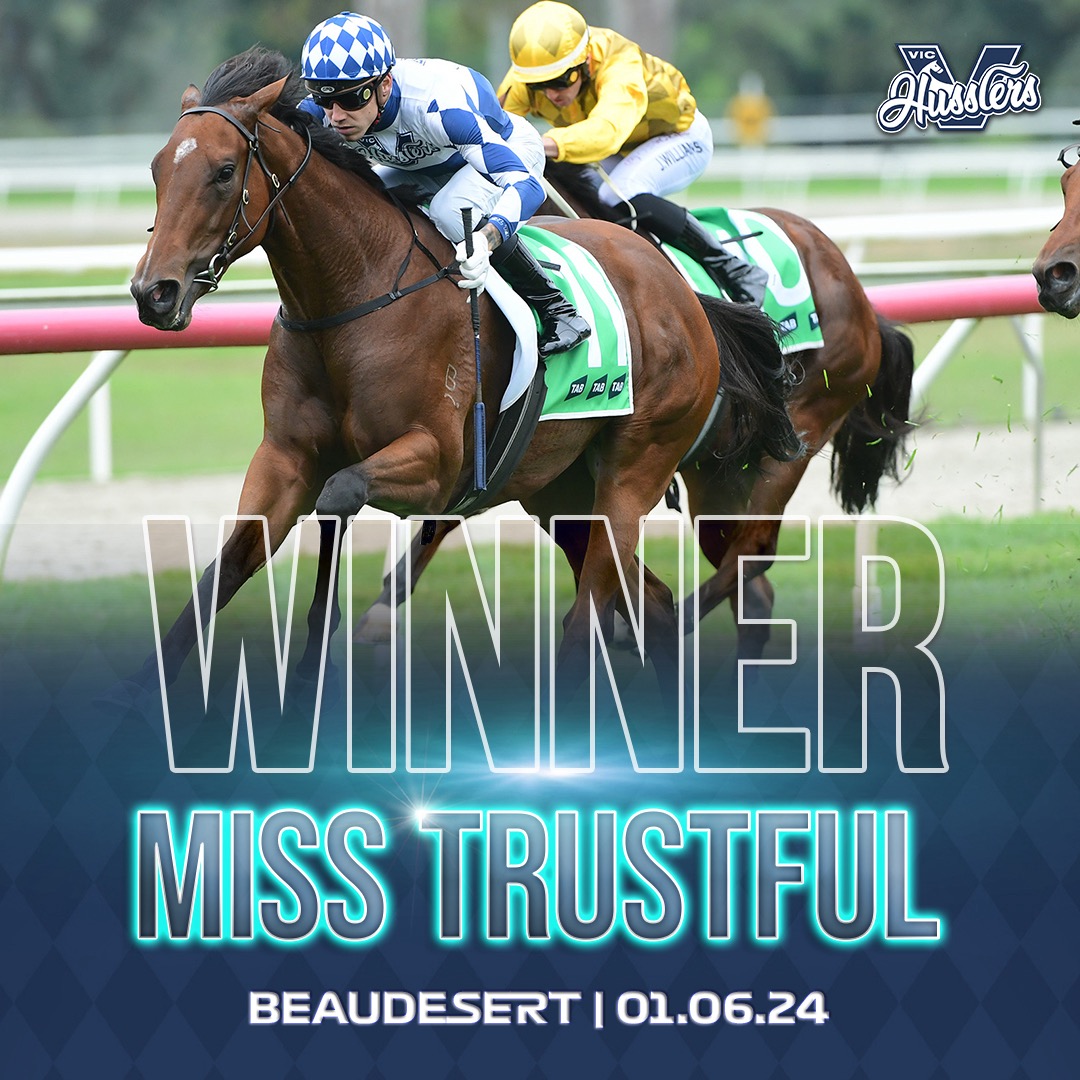 Winners - VIC Husslers - MISS TRUSTFUL
