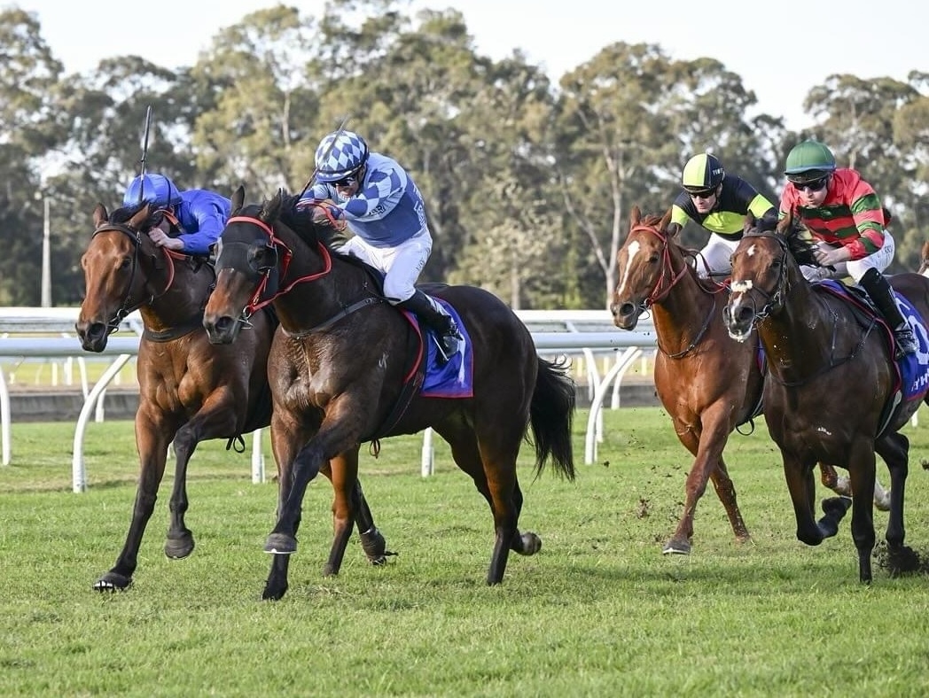 Cool Jakey Winning at Warwick Farm