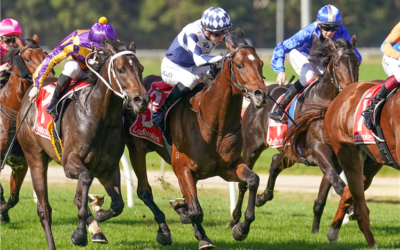 Vic Husslers: Triple Treat Saturday with 3 Runners