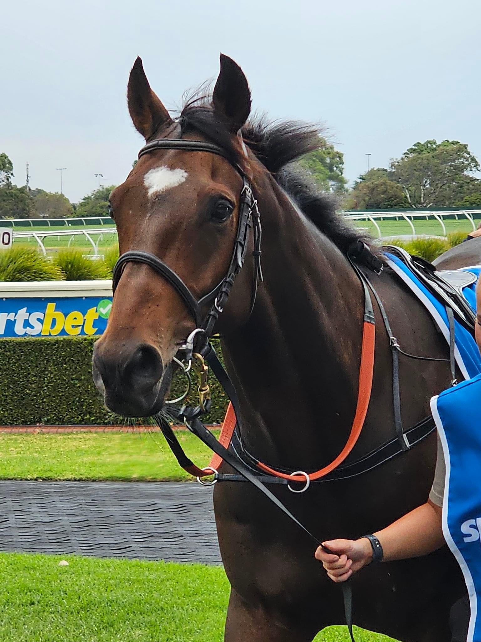 Team Captain with the Macccas Run Trophy at Melbourne Cup Day