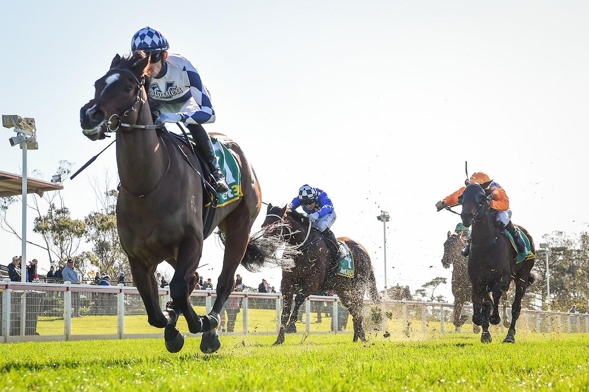 Pardon My French Olympic Moment Geelong Win 260724