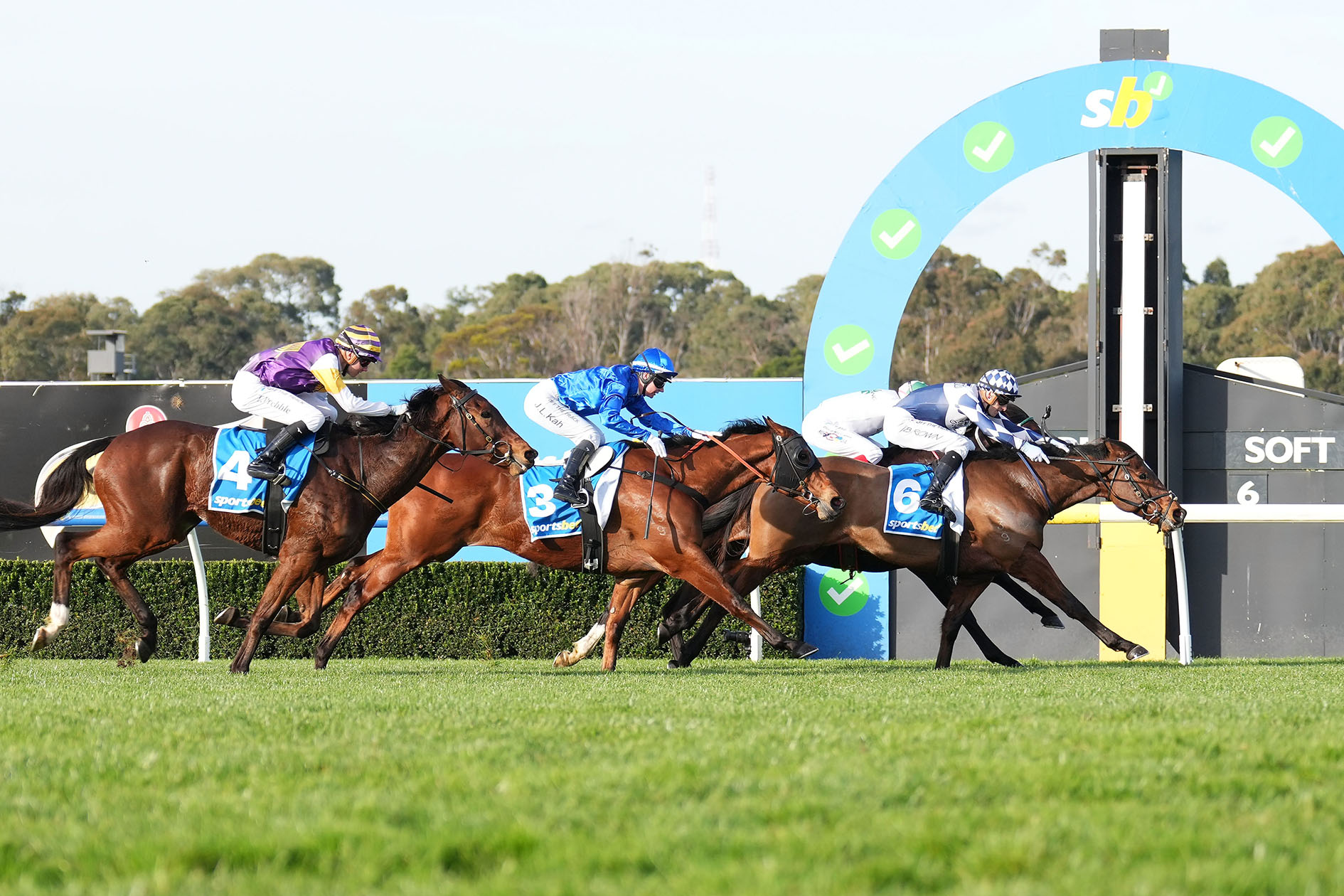 Lethal Thoughts ridden by Ethan Brown wins at Sandown Racecourse on August 04, 2024