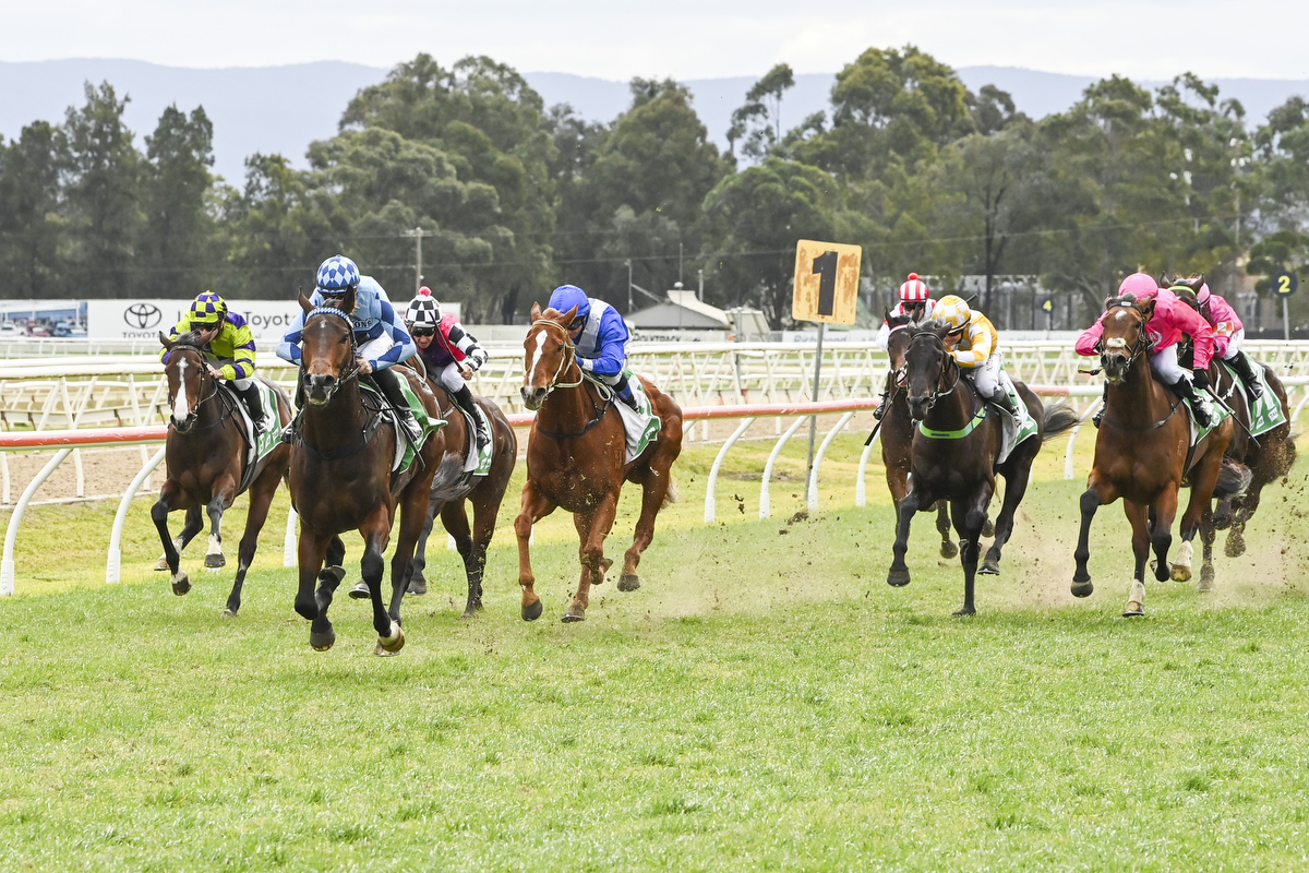 Northern Eyes Smiling winning at Hawkesbury for NSW Tycoons 010824