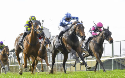 Northern Eyes goes back-to-back wins at Hawkesbury