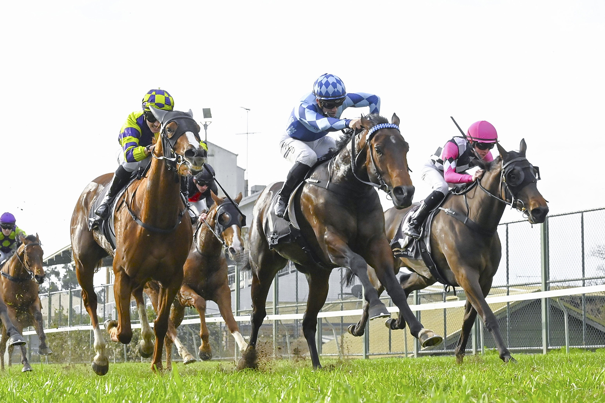 Northern Eyes goes back-to back at Hawkesbury