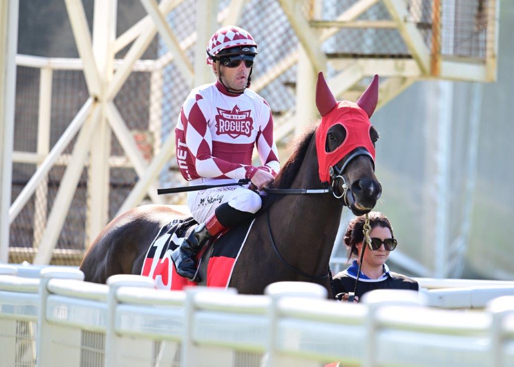 Bollinger Miss pops the champagne (maiden win) at Doomben 180924