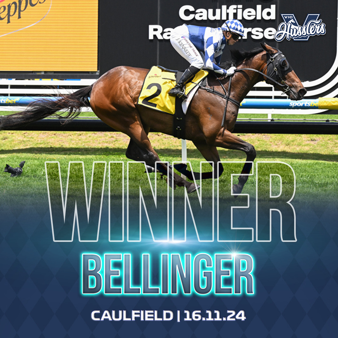 VIC HORSE WINNER Bellinger 161124