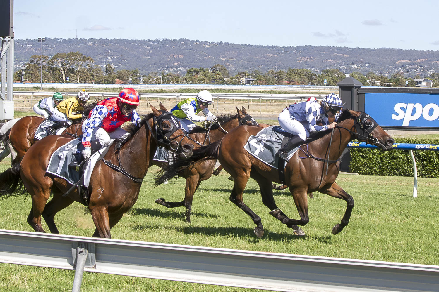 Bellinger Winning Morphettville Dec 7