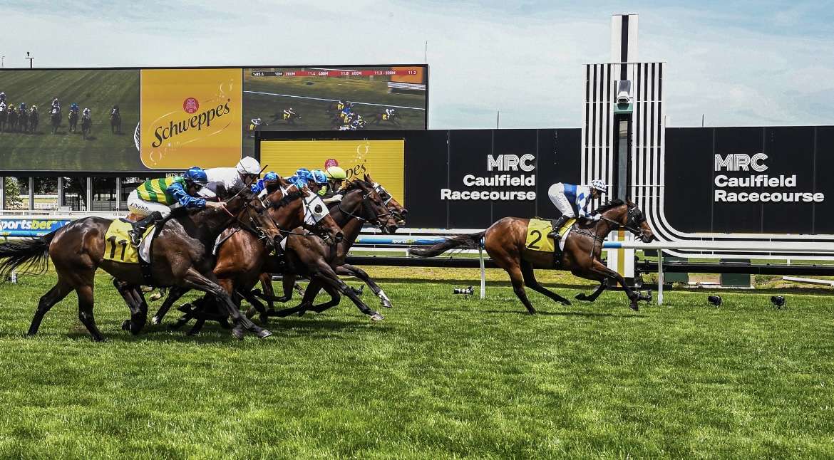 Bellinger win Caulfield 16/11/24