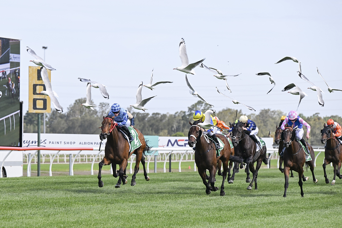 Northern Eyes goes back-to-back at Hawkesbury 130824