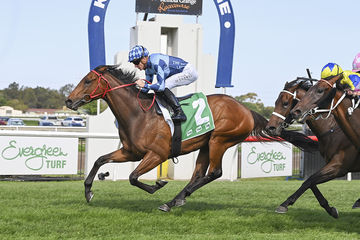 Estadio Mestalla smashes the track record at kembla 23112024