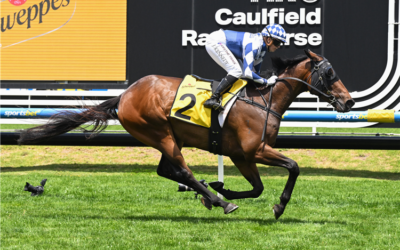 Bellinger wins Schweppes Handicap – Racing & Sports Article