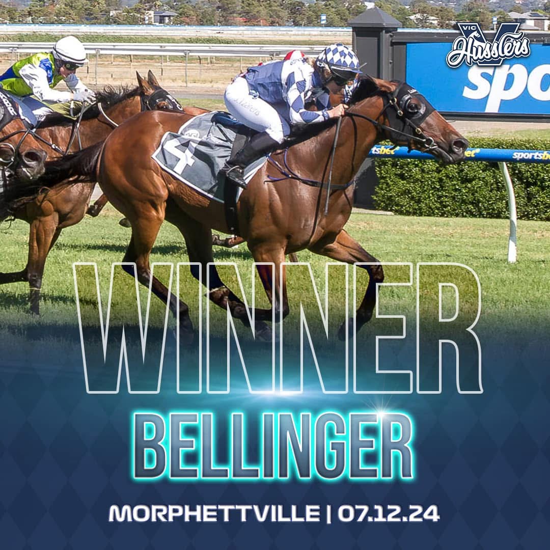 VIC HORSE WINNER BELLINGER 071224