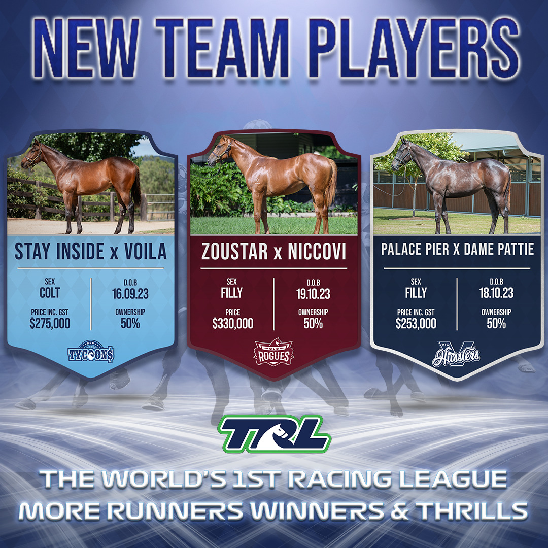 NEW TEAM PLAYERS GRAPHICS FOR YEARLING PURCHASES 2025